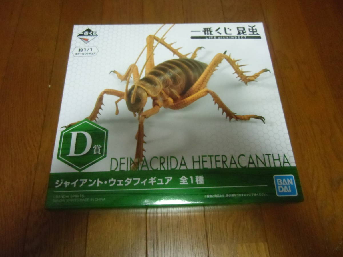 一番くじ 昆虫 LIFE with INSECT D賞 ジャイアント・ウェタ