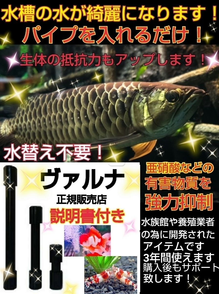 ペット用品 水質改善に！ヴァルナミニ23cm 筒を水槽に入れるだけで