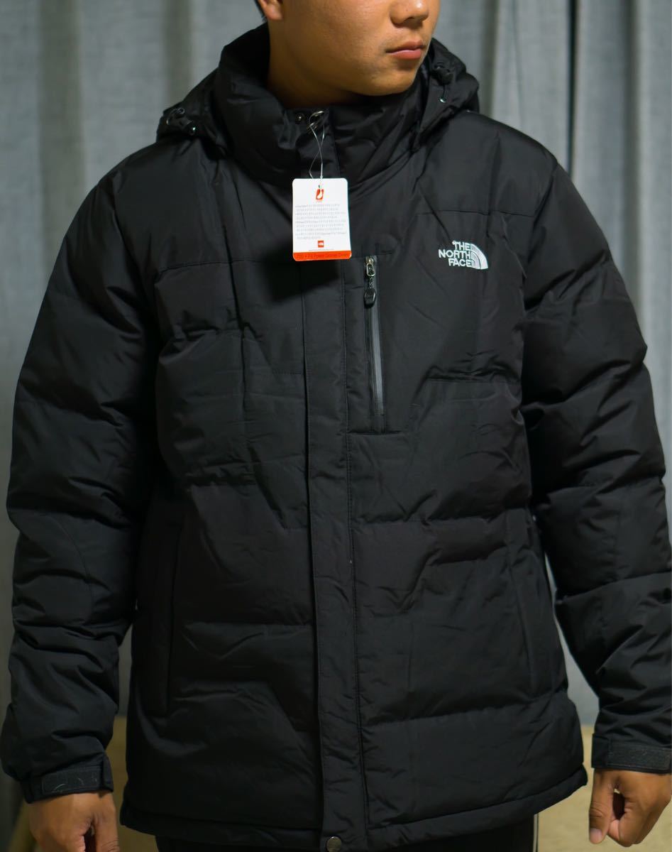  THE NORTH FACE ダウンジャケット(Lサイズ)｜売買されたオークション情報、yahooの商品情報をアーカイブ公開 - オークファン 男性用
