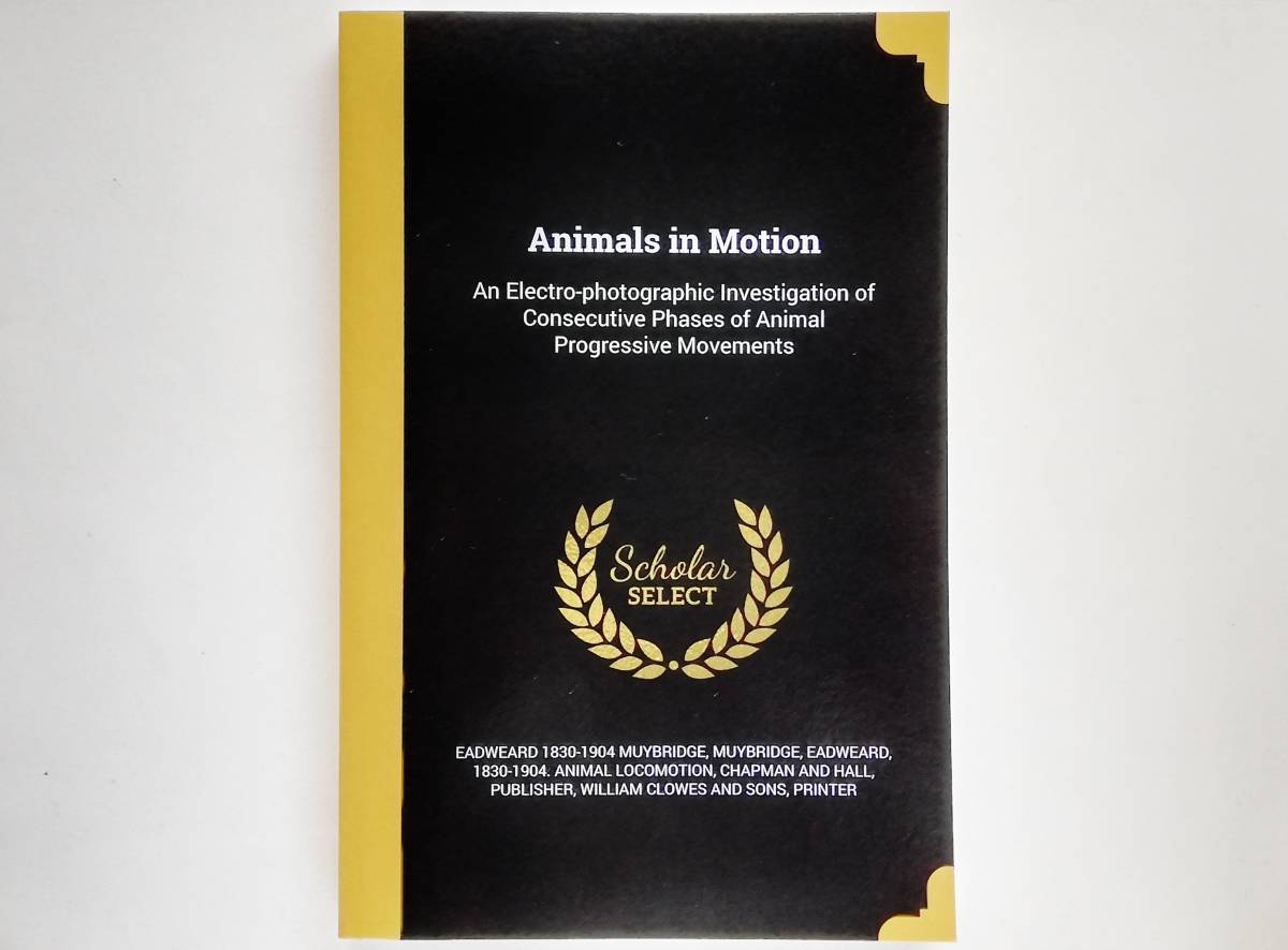 激安大特価，定番 Eadweard Muybridge / Animals in Motion 複写版 エドワード マイブリッジ(アート写真)｜売買されたオークション情報、yahooの商品情報をアーカイブ公開 - オークファン アート写真