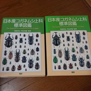 コガネムシのYahoo!オークション(旧ヤフオク!)の相場・価格を見る