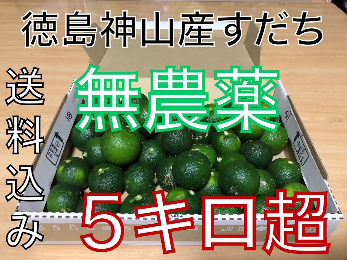 ハウススダチ　家庭用　5キロ ハウスすだち 5キロ ハウススダチ5キロ 【公式ショッピングサイト】