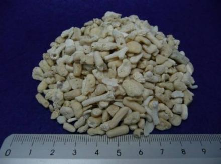 大得価，定番人気 天然サンゴ砂♯10 約10mm 中目20kg＜底砂 ろ材用＞(砂利、床材)｜売買されたオークション情報、yahooの商品情報をアーカイブ公開 - オークファン 砂利、床材