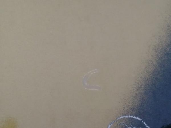 中国法書ガイド 二玄社 59冊セット 中国法書選 中国法書ガイド