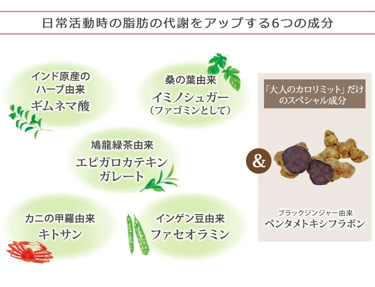 *ファンケル*大人のカロリミット*30日分×3袋セット♪FANCL カロリミット ファンケル FANCL 大人のカロリミット(30回分6袋) その他 新品未