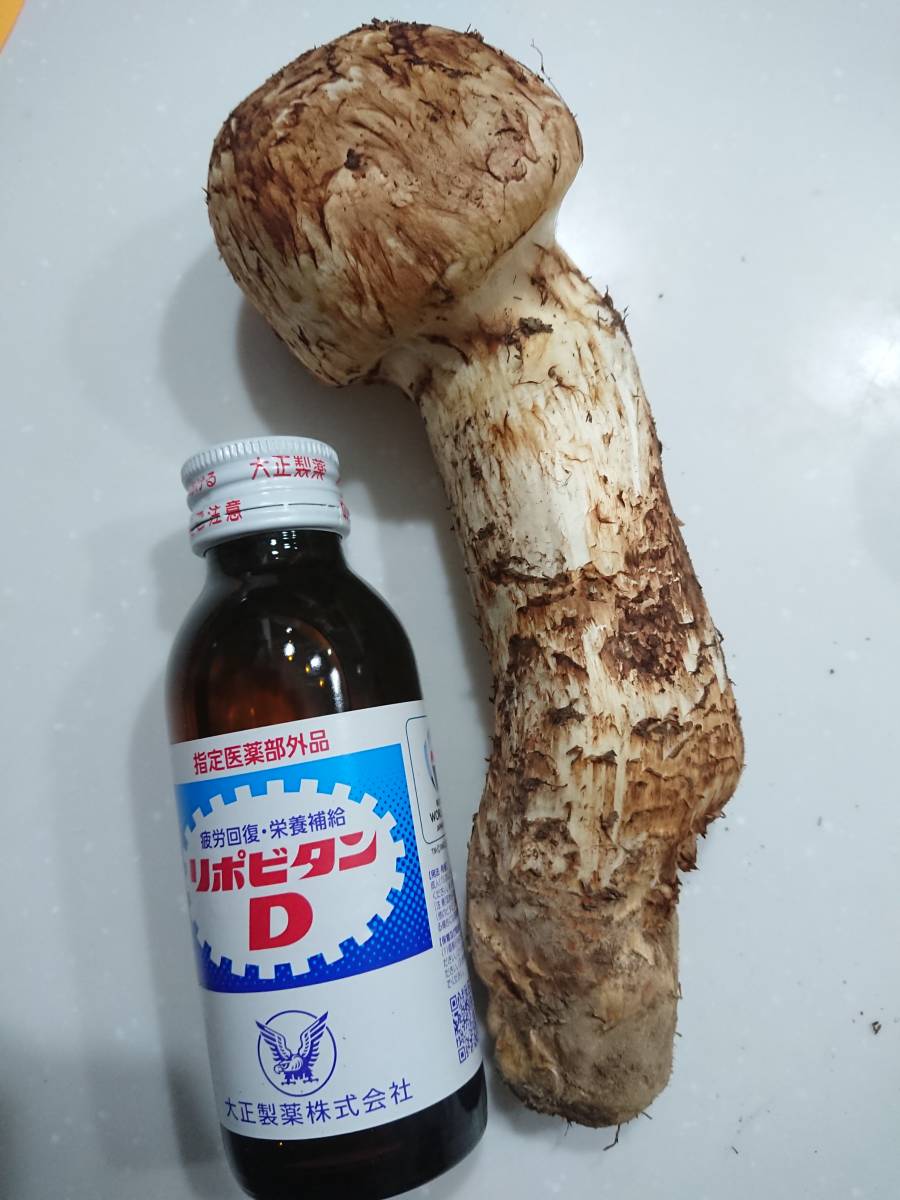岩手県産 国産 松茸 最終出品 10月15日採取306g