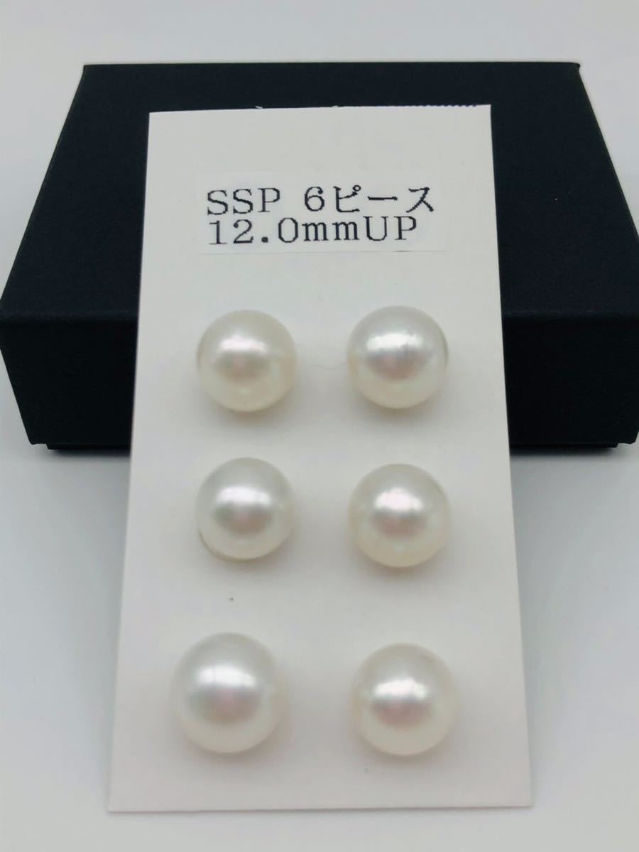 パール　ルース　南洋真珠　白蝶ケシ　４mm オーバル・フラット パール ルース 南洋真珠 白蝶ケシ 4mm オーバル・フラット