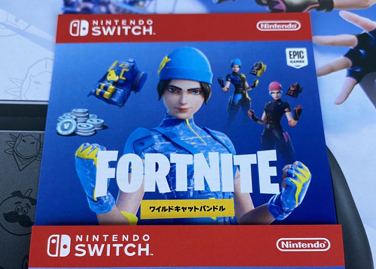 入金確認後30分以内にお届け♪☆Nintendo Switch:フォートナイトSpecial