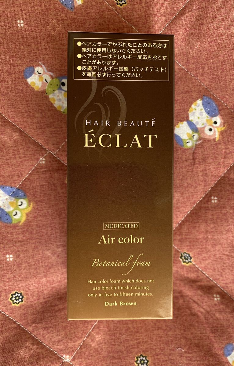 ÉCLAT ボタニカルエアカラーリングフォーム ダークブラウン 80g FUTURE
