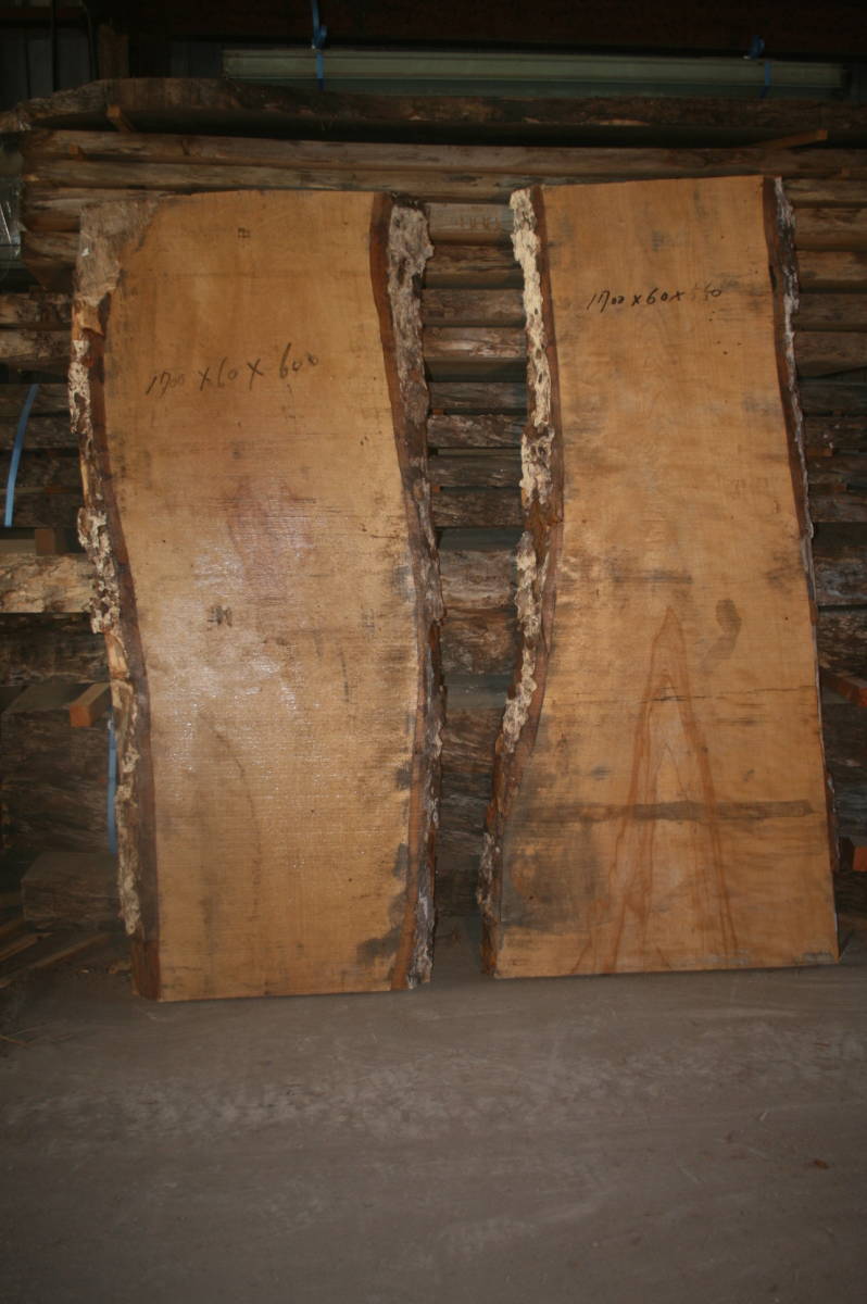  カバ2枚組 倉庫整理品 処分品 埃品 まとめ売り 100円スタート(板、シート)｜売買されたオークション情報、yahooの商品情報をアーカイブ公開 - オークファン 板、シート