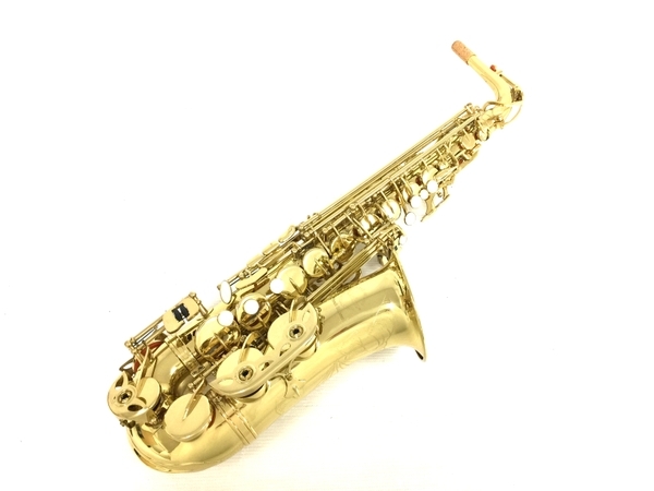 Maxtone by French Engineer アルトサックス ハードケース付 管楽器