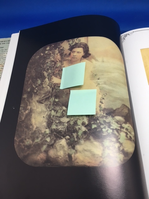 洋書 Stereo Akte Nudes Nus 1850 - 1930 ○ アンティークヌード 