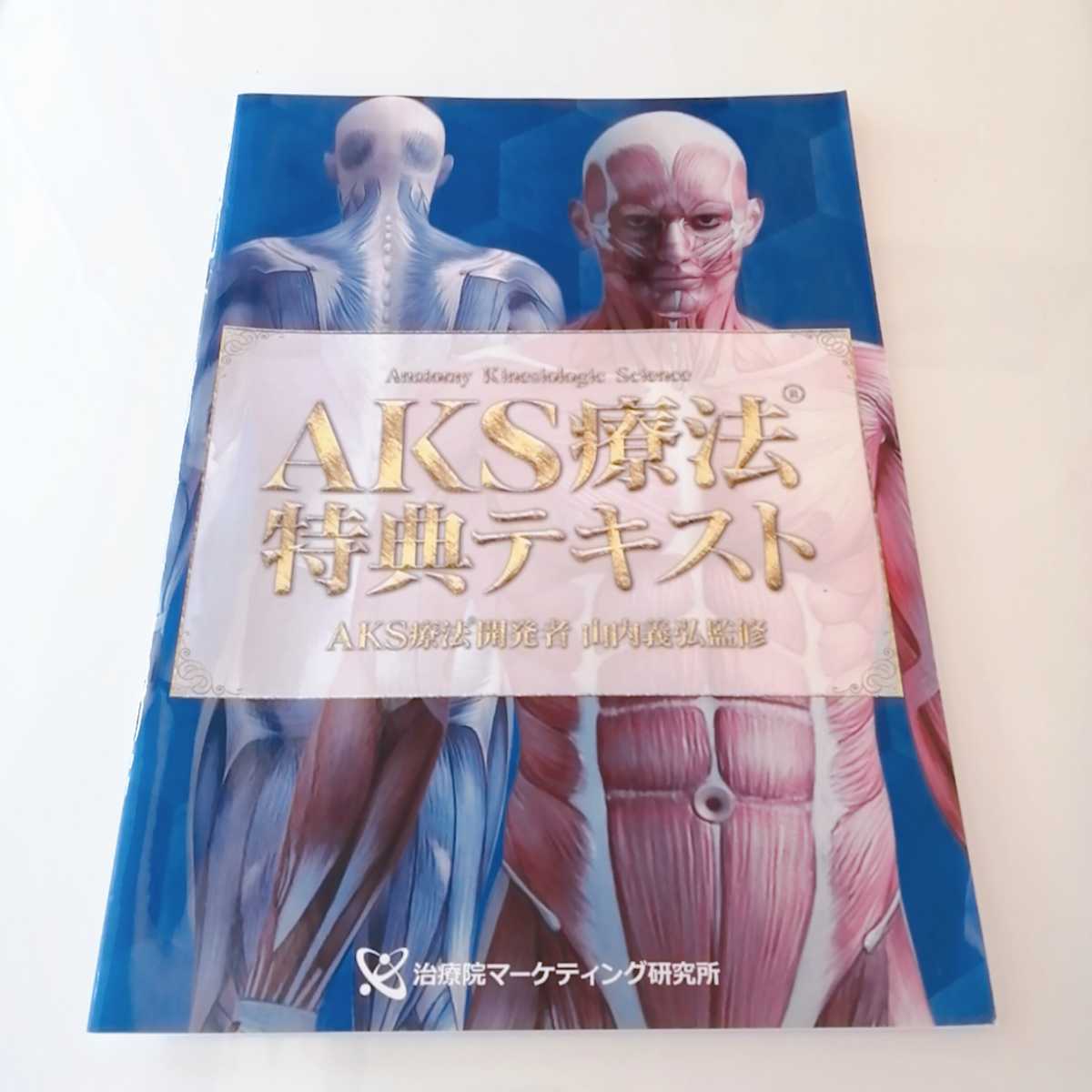 AKS療法(R)～痛み消失の絶対方程式～ 山内義弘 DVD 山内 義弘 公式通販 