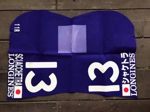 コントレイル　2020ジャパンカップGⅠ ミニゼッケン ジャパンカップ ゼッケンのYahoo!オークション(旧ヤフオク!)の相場
