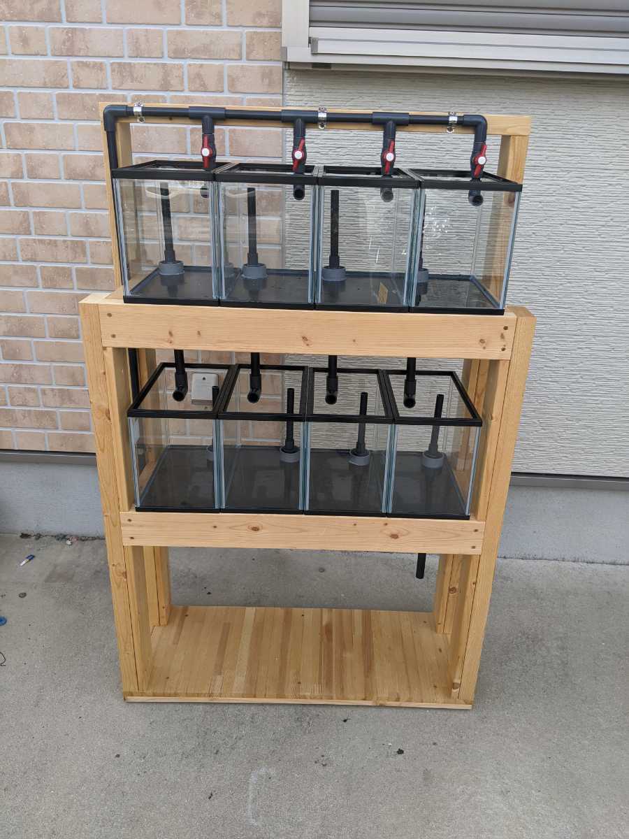 シュリンプ、メダカ、プレコ、二重管オーバーフロー8室 海水魚水槽DIY 