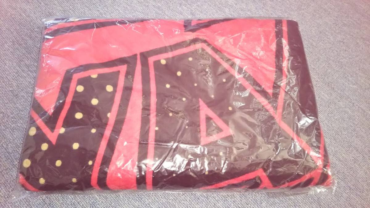 矢沢永吉　ＶＩＳＡ　スペシャルビーチタオル_3