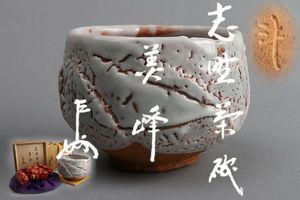 超希少　荒川豊蔵　唐津風　茶入　人間国宝 荒川豊蔵のYahoo!オークション(旧ヤフオク!)の相場・価格を見る｜Yahoo