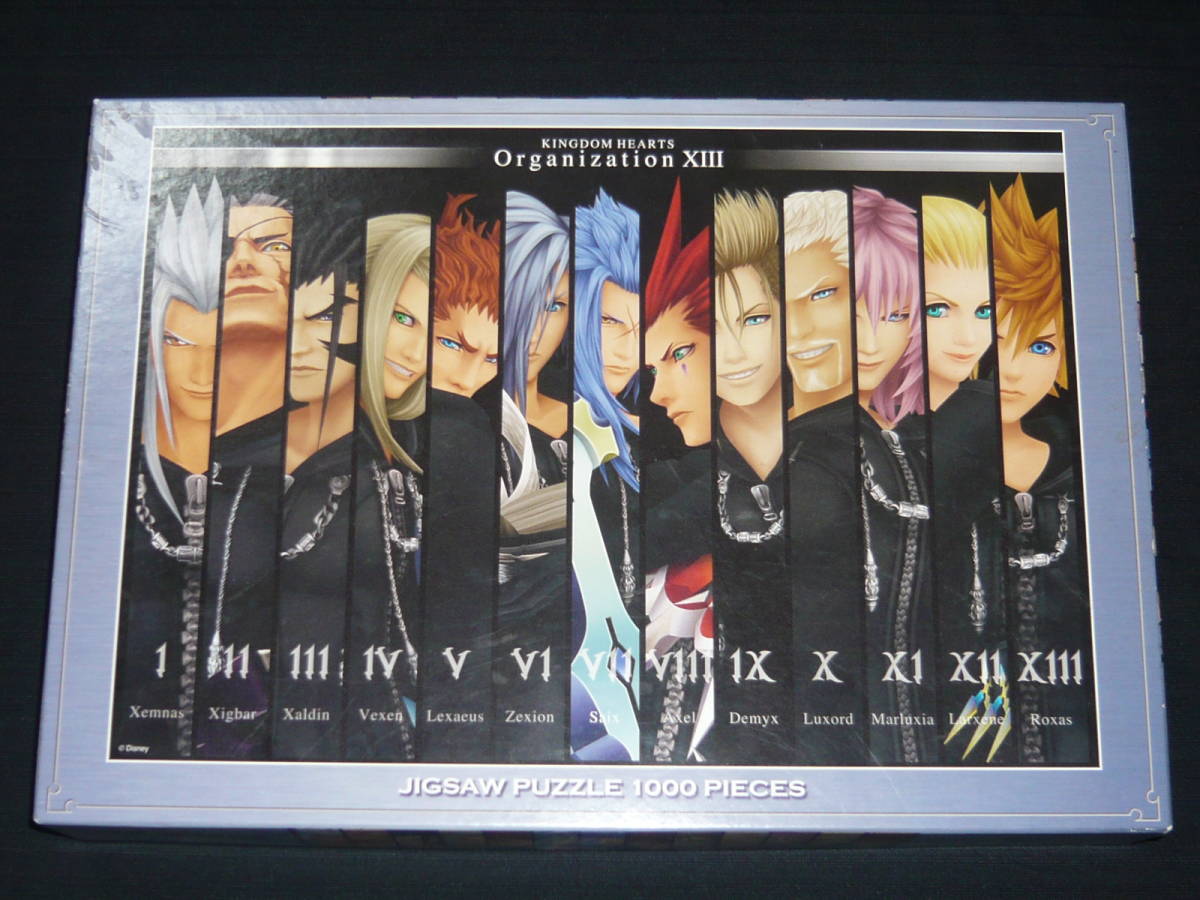 キングダムハーツ ジグソーパズル 1000ピース Organization XIII [D