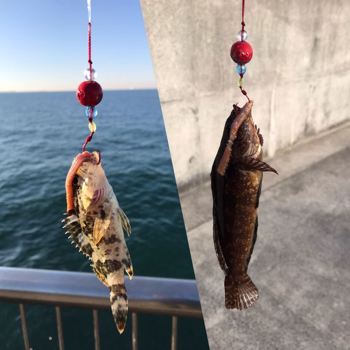 自作ブラクリ 4号 12個セット 赤塗装品 多面カットビーズ アピール 根掛りに強い針 ムツ針 金 ケース無し ルアー用品 売買されたオークション情報 Yahooの商品情報をアーカイブ公開 オークファン Aucfan Com 自作ブラクリ 4号 12個セット 赤塗装品 多面カットビーズ アピール 根掛りに強い針 ムツ針 金 ケース無し ルアー用品 売買されたオークション情報 Yahooの商品情報をアーカイブ公開 オークファン Aucfan Com