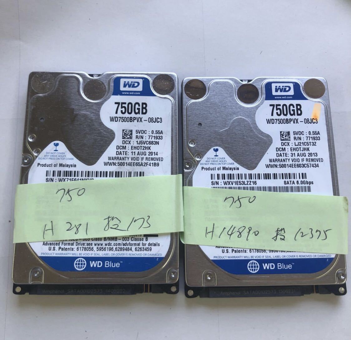 750GB | 2.5インチ内蔵HDD Western Digital WD WESTERN DIGITAL 非常に
