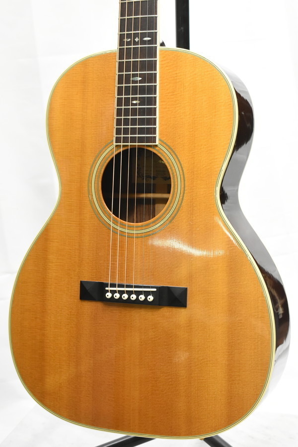 超レア Morris TF Order Model ツリーオブライフ モーリス 超レア Morris TF Order Model ツリーオブライフ モーリス