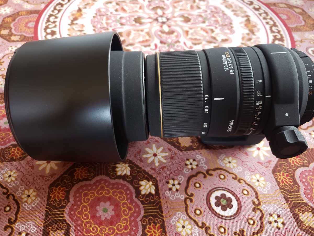170-500mm APO Sigma - DG SIGMA 1:5-6.3 Review | D #2406719 5-6.3