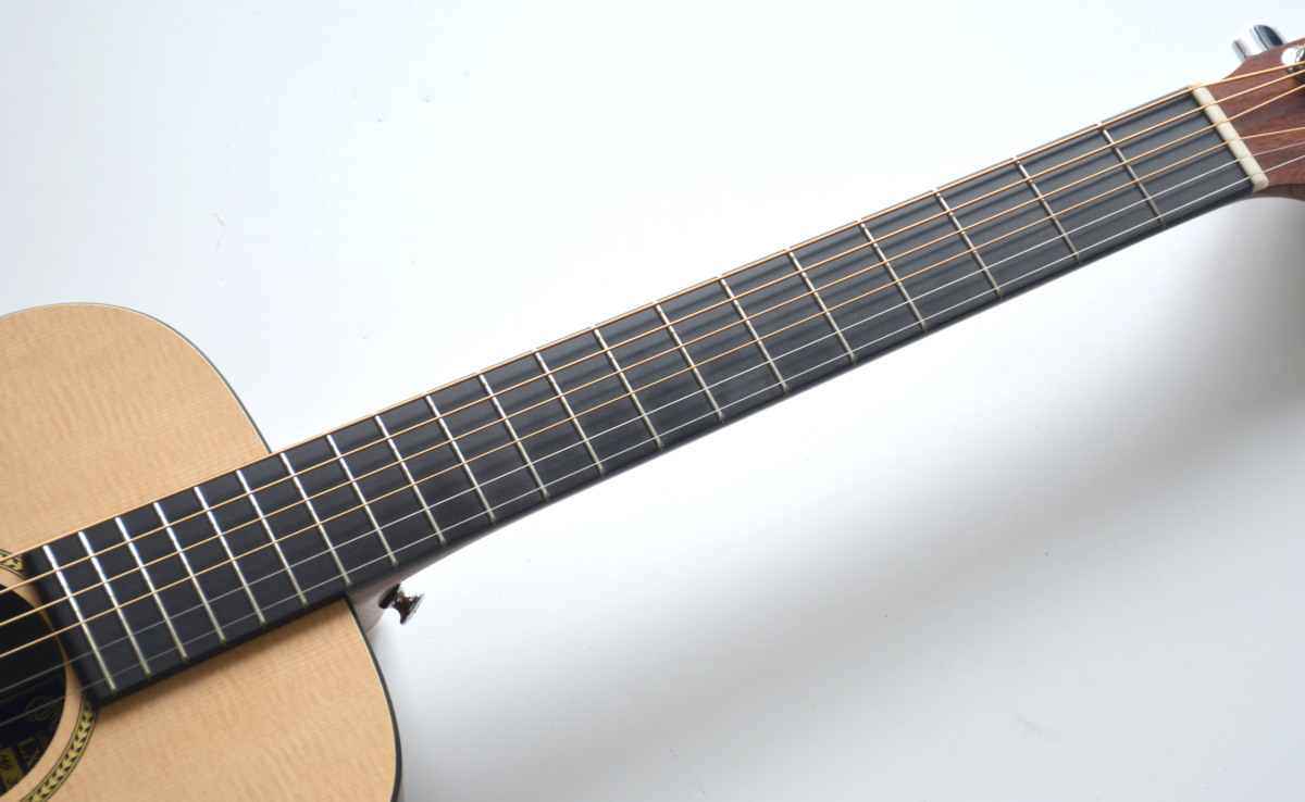 人気急上昇中 ☆ソフトケース付！MARTIN マーチン LXM Little Martin