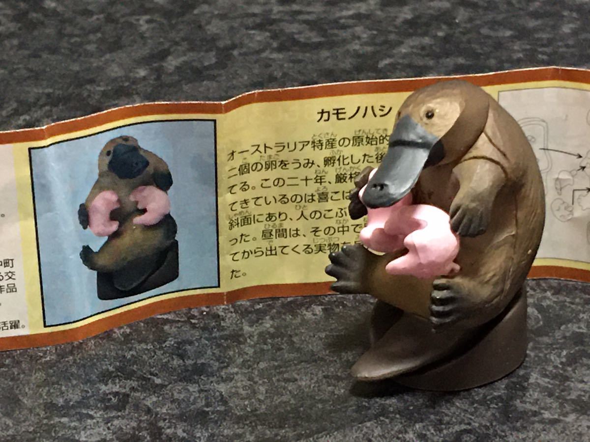 チョコエッグ 第7弾 おもしろ動物編 カモノハシ 日本の動物コレクション 売買されたオークション情報 Yahooの商品情報をアーカイブ公開 オークファン Aucfan Com