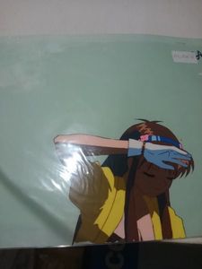 ハミングバード セル画のYahoo!オークション(旧ヤフオク!)の相場・価格 