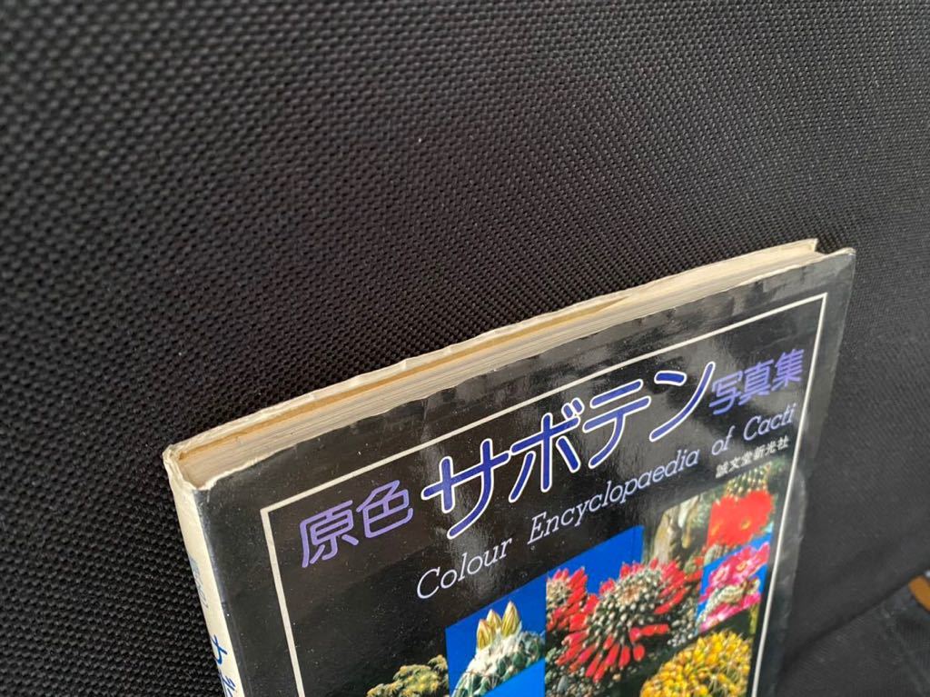 本物保証，正規品 原色サボテン写真集 平尾博 誠文堂新光社 本