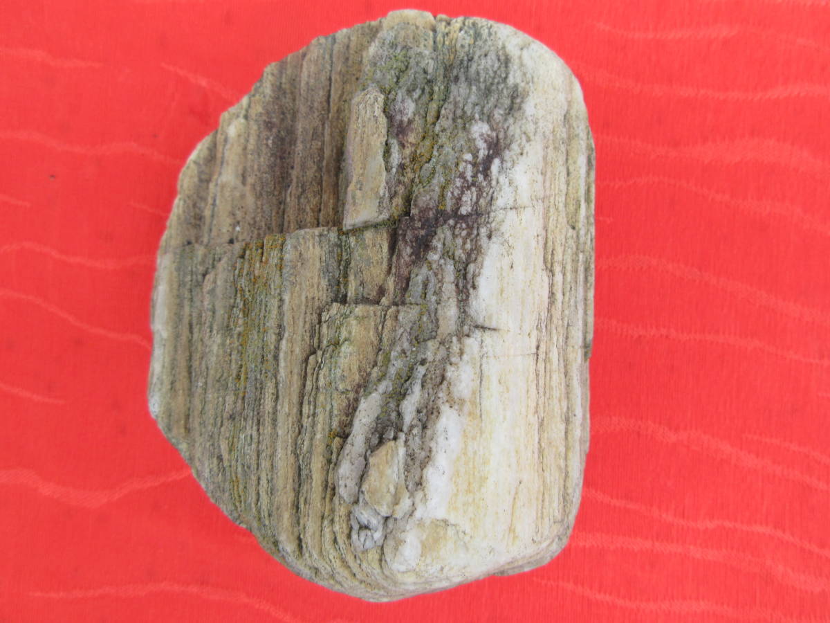 珪化木 木化石 木石 化石 鉱物 原石 天然石 鑑賞石 台付き 重量約5.6 