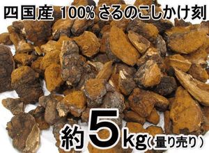 21年07月 さるのこしかけのヤフオク の相場 価格を見る ヤフオク のさるのこしかけのオークション売買情報は17件が掲載されています