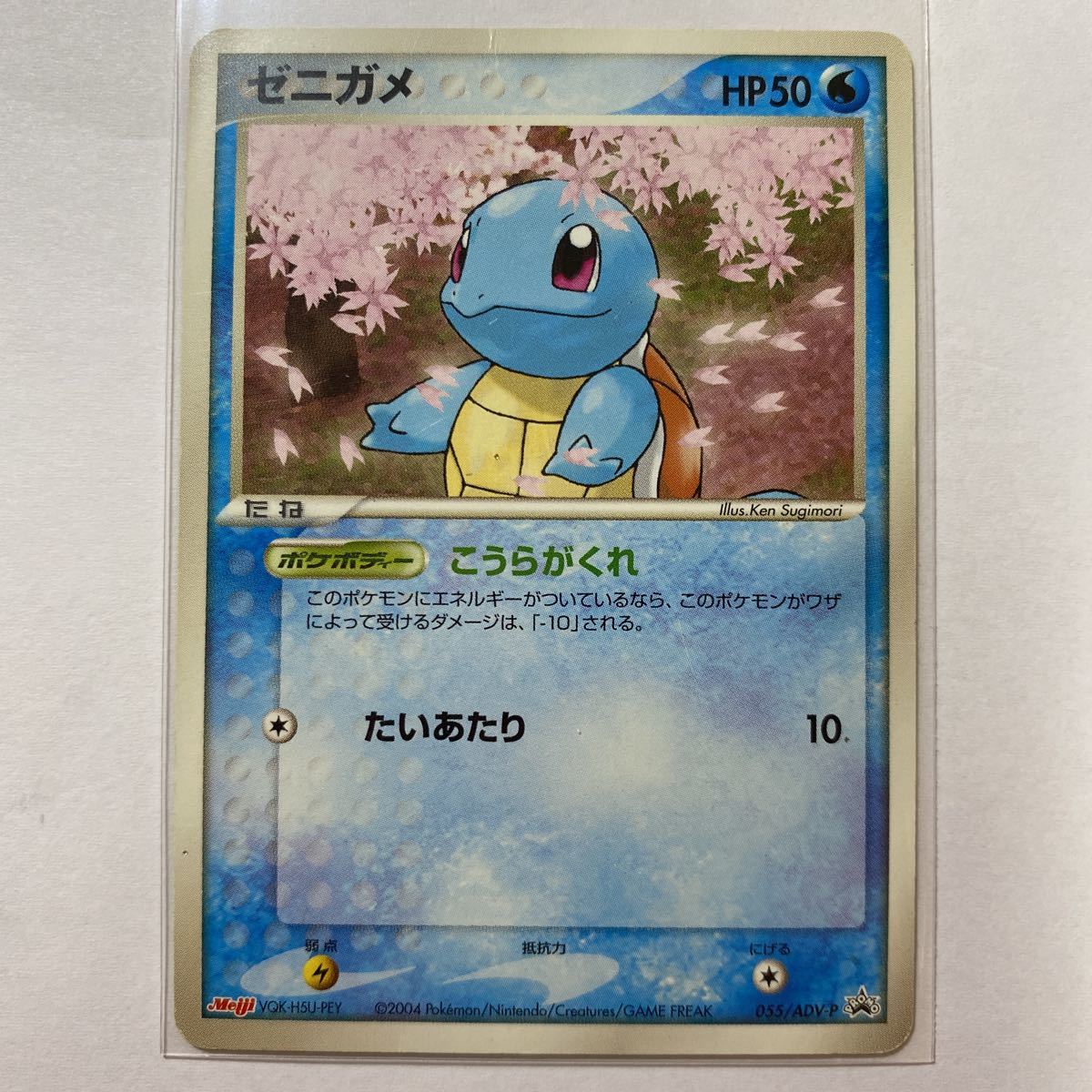 在庫処分大特価 ゼニガメ 確認用 ポケモンカード ポケモンカードゲーム Nicholaskralev Com