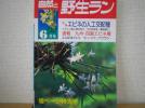 「自然と野生ラン」1987年6月号_1