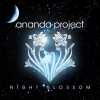 [国内版] Ananda Project / Night Blossom (djkawasakikjm_1