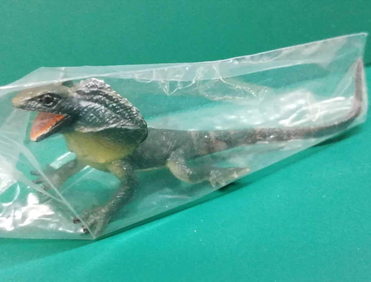 原色爬虫類トカゲ 図鑑 24体セット 【公式通販】