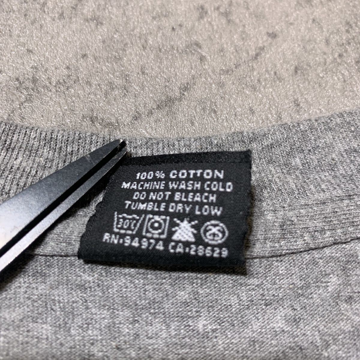 美品 希少レア Stussy オールドステューシー ラスタロゴプリントT 