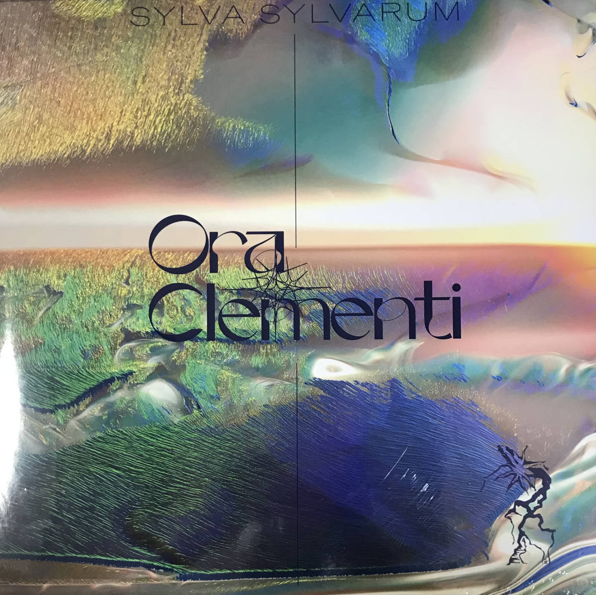 [ 2LP / レコード ] Ora Clementi / Sylva Sylvarum ( Experimental / Ambient ) Black Truffle 実験音楽 アンビエント_2