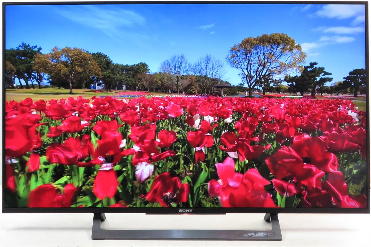 SONY BRAVIA KJ-49X8300D 49種 エキショーテレビ放送 SONY KJ-49X8300D