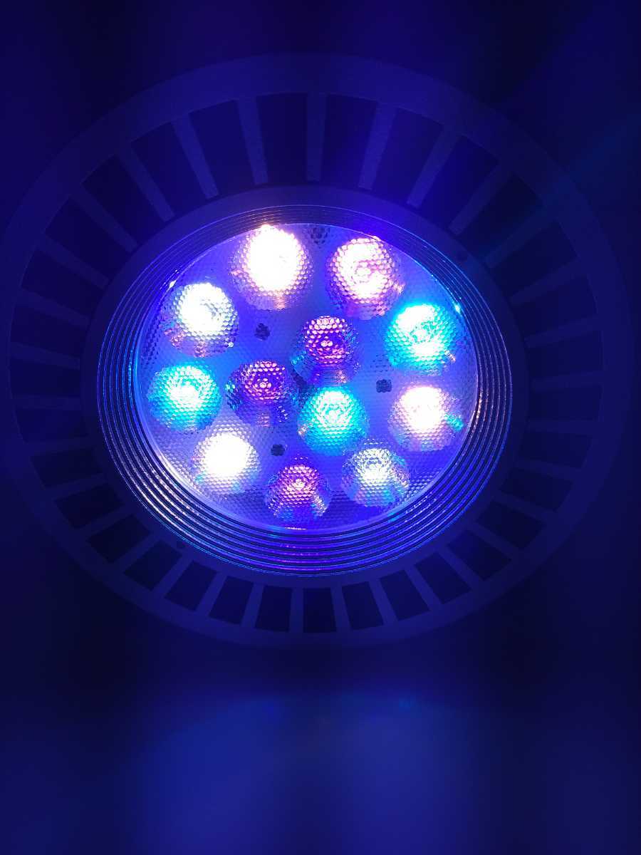 GrassyLeDio RX122/グラッシーレディオRX122 Reef/リーフ