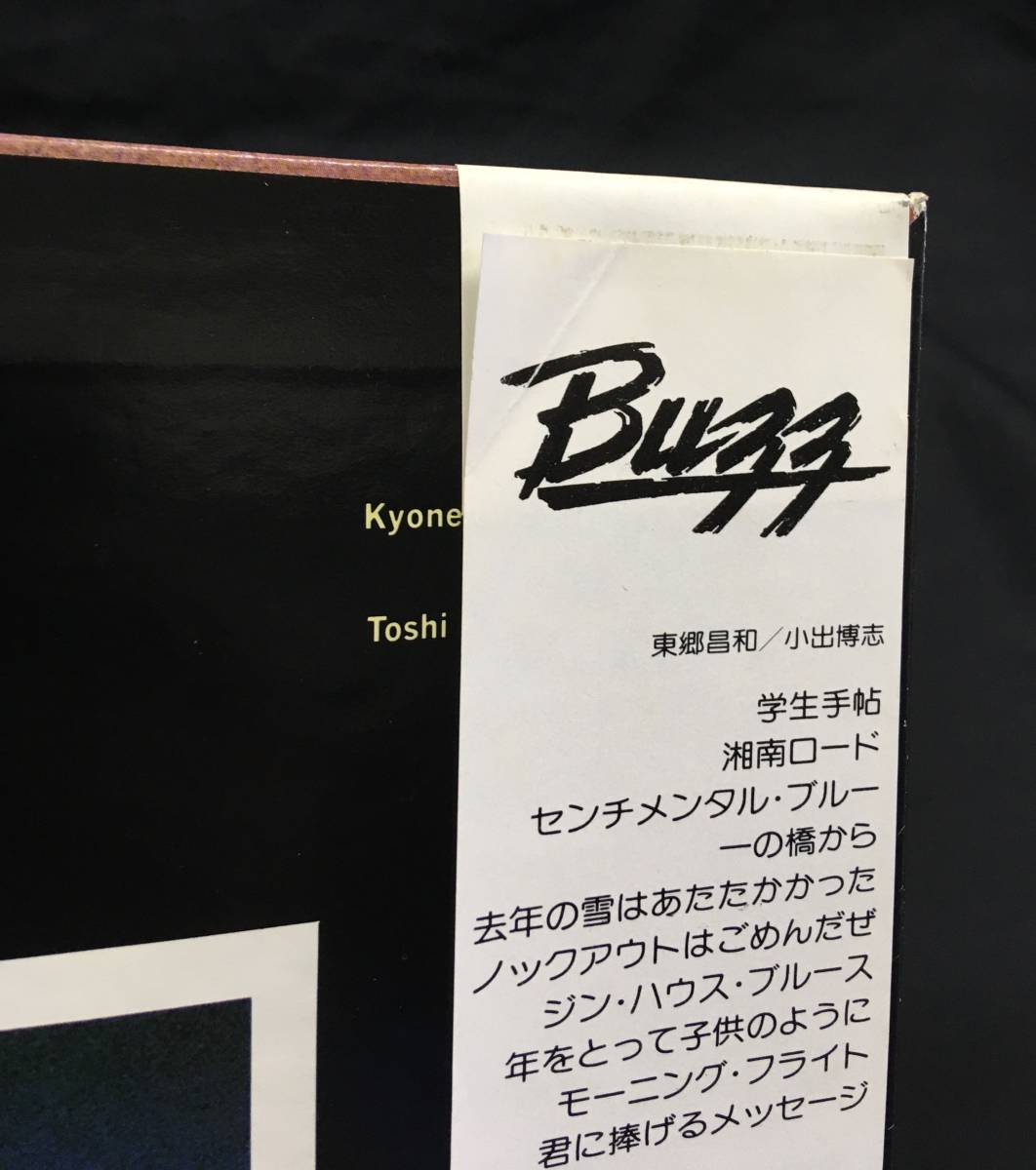 LP【A New Day A New Time ア・ニューデイ・ア・ニュー・タイム】Buzz