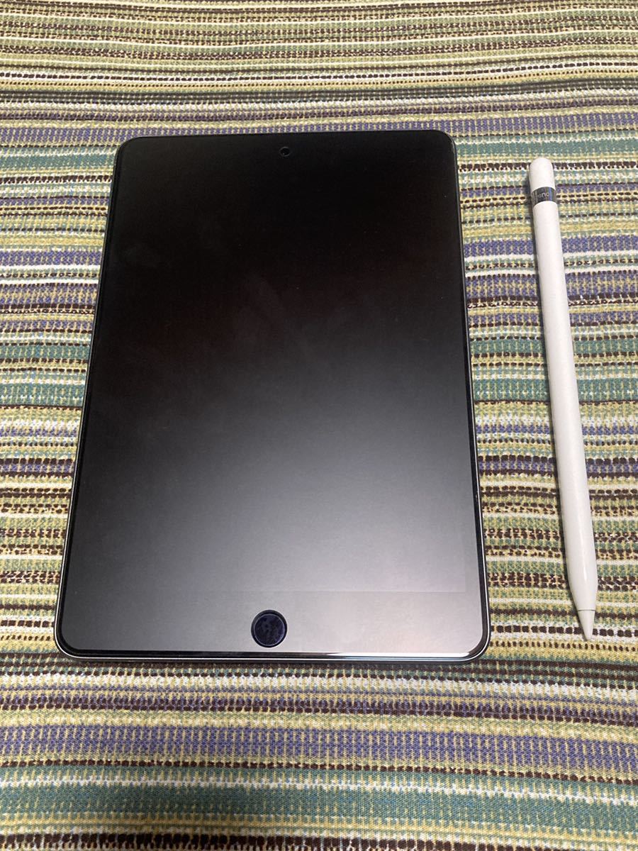 mini iPad 0 256GB Wi-Fi Apple ipad スペースグレイの通販 1 スペース 