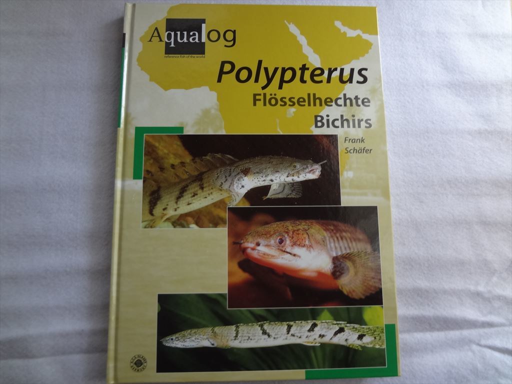 洋書 Aqualog Polypterus Flosselhechte Bichirs ポリプテルス 古代魚