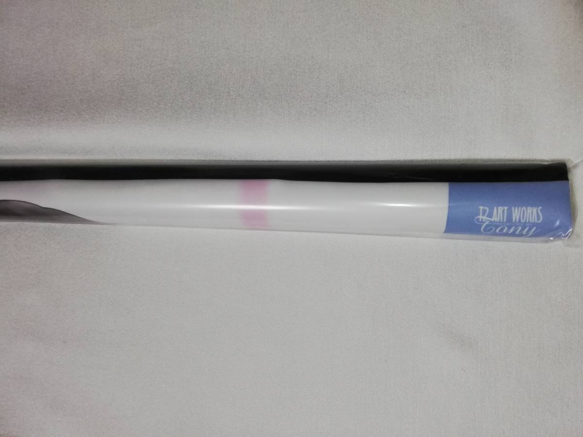 Tony T2 ART WORKS B2タペストリー（個人授業）Wスエード ART T2 Tony 