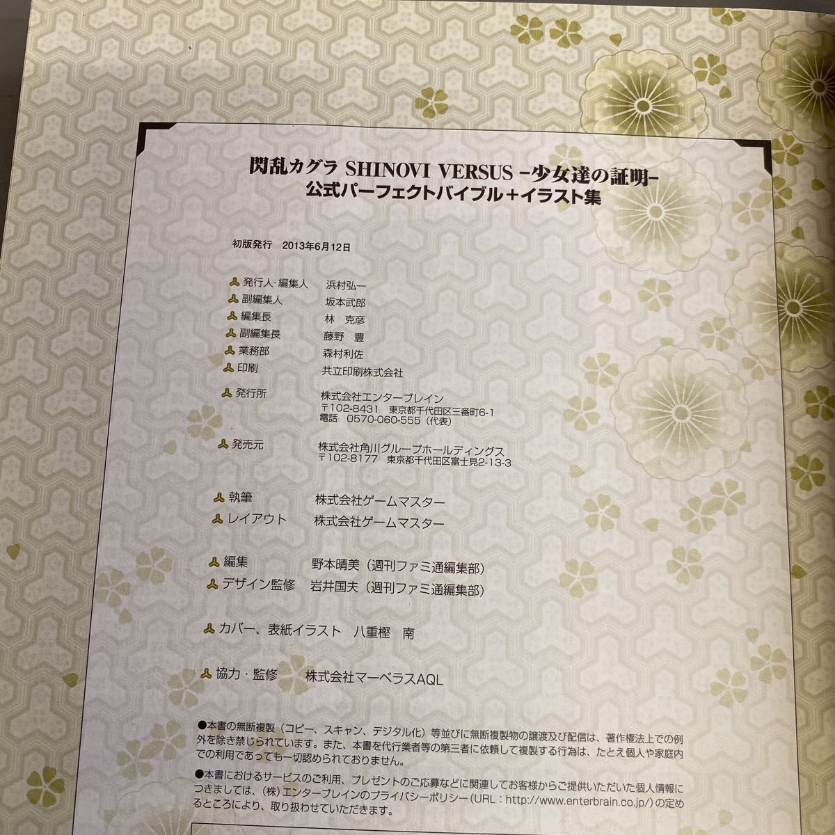 ふるさと納税 閃乱カグラ Estival Versus 少女達の選択 公式パーフェクトバイブル イラスト集 ファミ通の攻略本 Www Thewalldogs Com