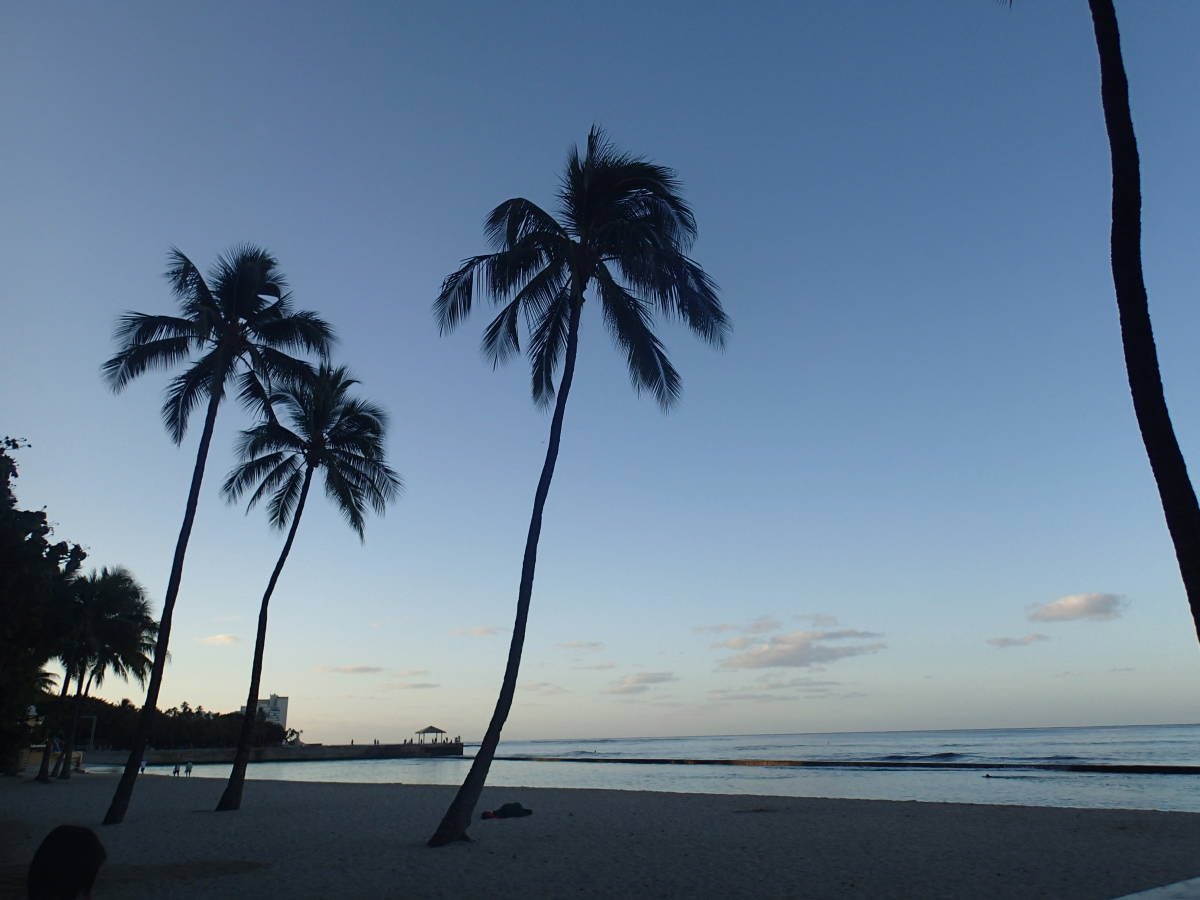 【夜明けの海岸】画像 データ 送料無料 即決 1円 壁紙 ダウンロード_1