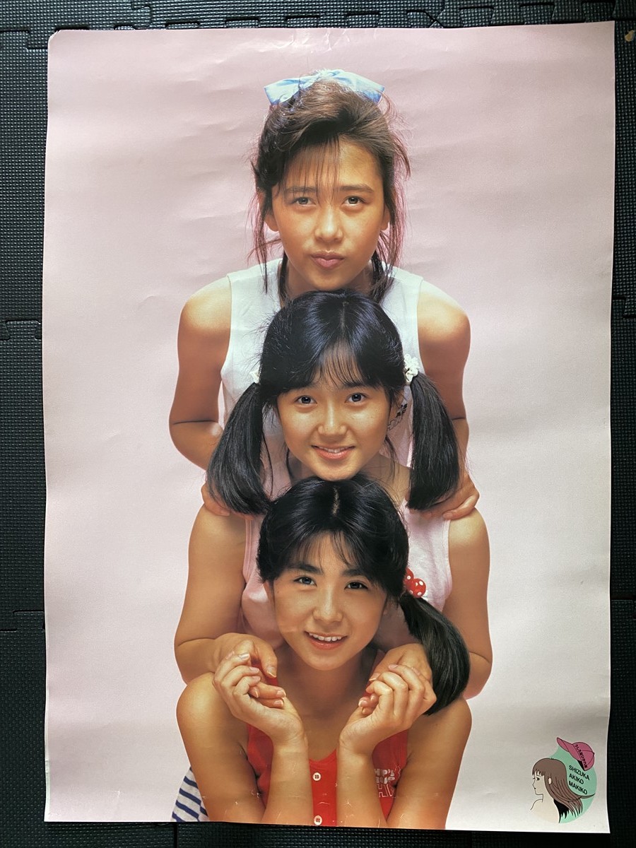 生稲晃子 うしろ髪ひかれ隊 絶品