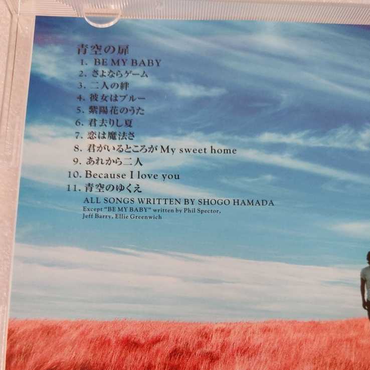 浜田省吾 ベスト The History Of Shogo Hamada Since 1975 青空の扉 The Door For The Blue Sky Cd 浜田省吾 売買されたオークション情報 Yahooの商品情報をアーカイブ公開 オークファン Aucfan Com