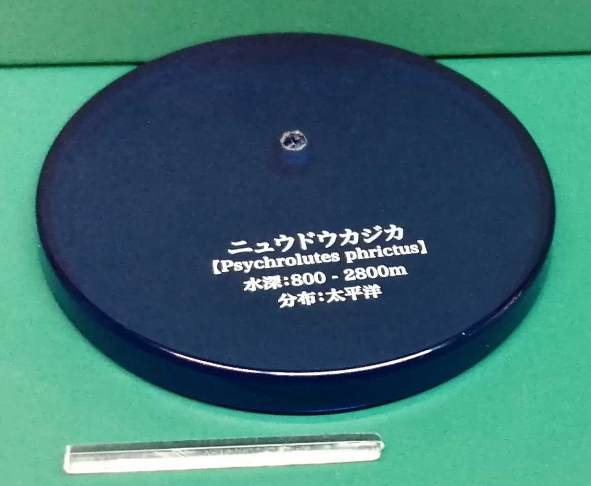 ニュウドウカジカ 不思議生物大百科 深淵の放浪者 深海魚 フィギュア 正規の支柱欠品 生き物 売買されたオークション情報 Yahooの商品情報をアーカイブ公開 オークファン Aucfan Com