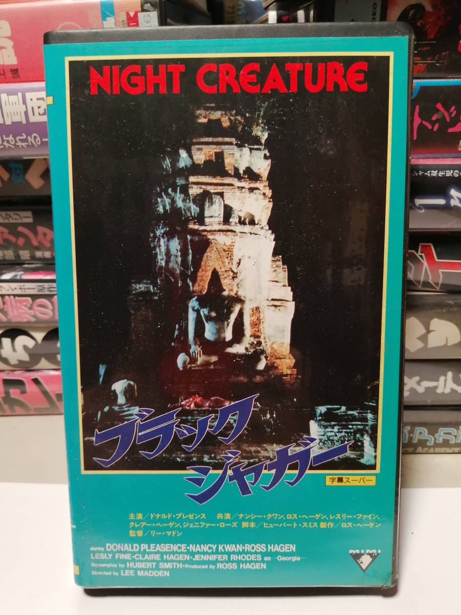 ブラックジャガー』NIGHT CREATURE VHS 中古 ブラックジャガー』NIGHT CREATURE VHS 中古